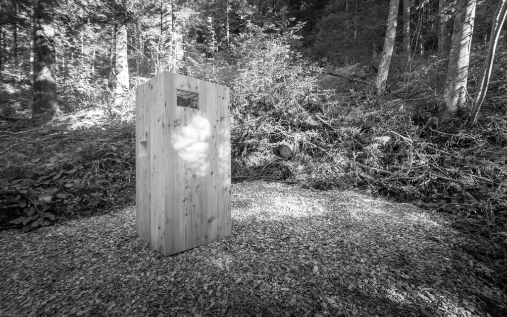 Absinthe fountain installed in the forest