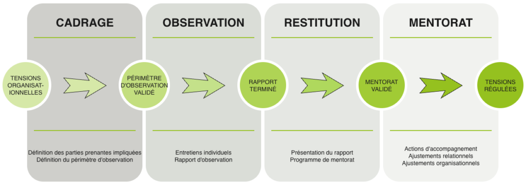 PREFIX Processus mentorat sur le renforcement des dynamiques collectives